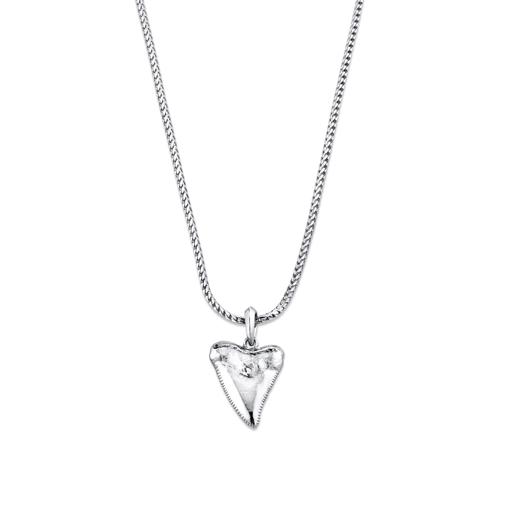 Guardian Shark Tooth Pendant Necklace – Logan Hollowell
