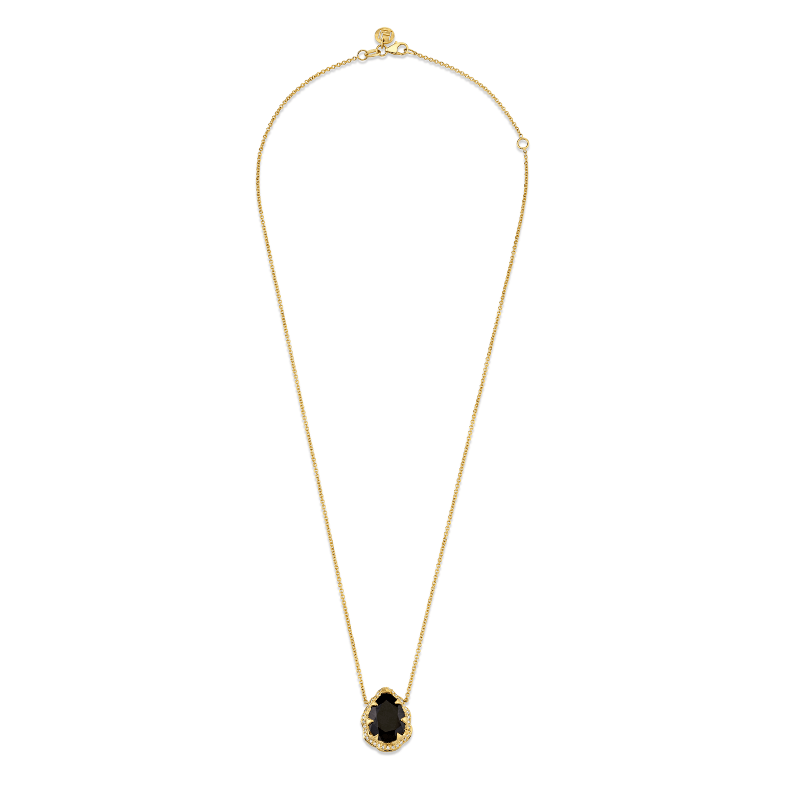 Queen Water Drop Onyx Necklace with Full Pave Halo by Logan Hollowell Jewelry