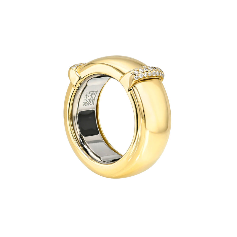 The Aura Case Yellow Gold 3 by Logan Hollowell Jewelry