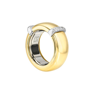 The Aura Case Two-Tone (YG/WG) 3 by Logan Hollowell Jewelry