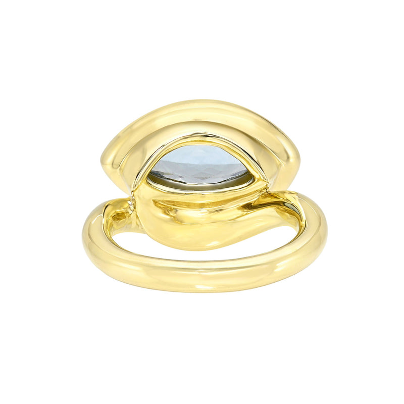 Enigma Eye Marquise Aquamarine Ring by Logan Hollowell Jewelry