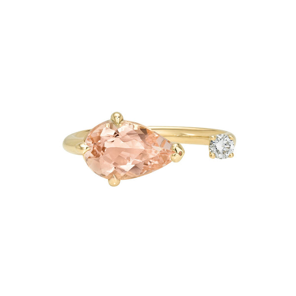 Blossom Morganite and Diamond Nexus Ring