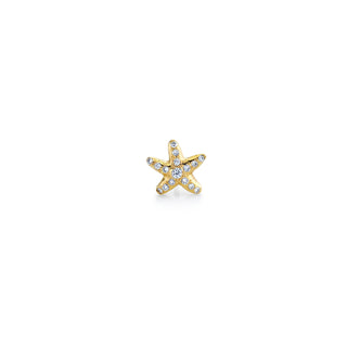 Mini Starfish Stud | Ready to Ship Single Yellow Gold  by Logan Hollowell Jewelry