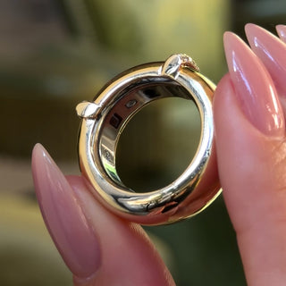 The Aura Case by Logan Hollowell Jewelry