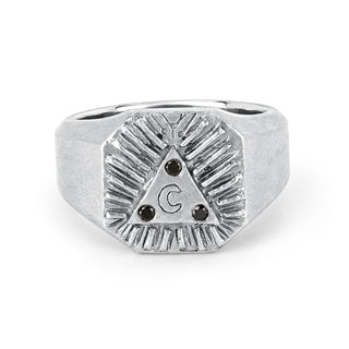 Men's Lunar Alchemy Signet Ring White Gold 8 by Logan Hollowell Jewelry
