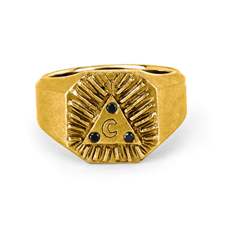 Men's Lunar Alchemy Signet Ring Yellow Gold 8 by Logan Hollowell Jewelry