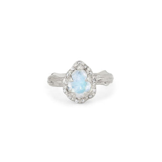 Micro Queen Water Drop Moonstone Rose Thorn Ring with Sprinkled Diamonds 2.5 White Gold  by Logan Hollowell Jewelry